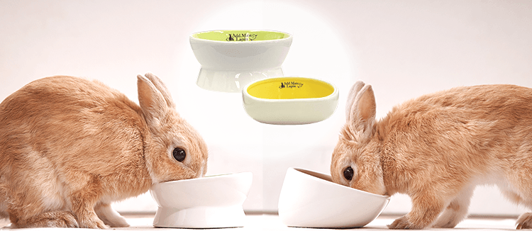 Lapin｜ラパン：食器・ボトル | Add.Mate -アド・メイト オフィシャルサイト