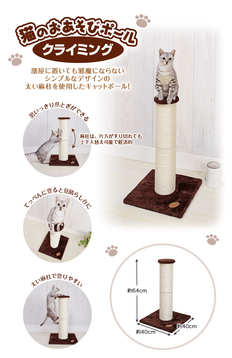 猫のおあそびポール | Add.Mate -アド・メイト オフィシャルサイト