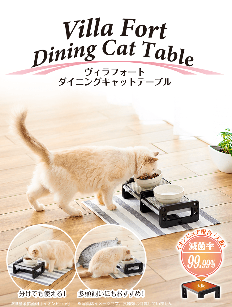 └ Villa Fort｜ヴィラフォート：ダイニングテーブル for Cat | Add