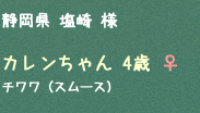 カレンちゃん 4歳 ♀