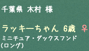 ラッキーちゃん 6歳 ♀