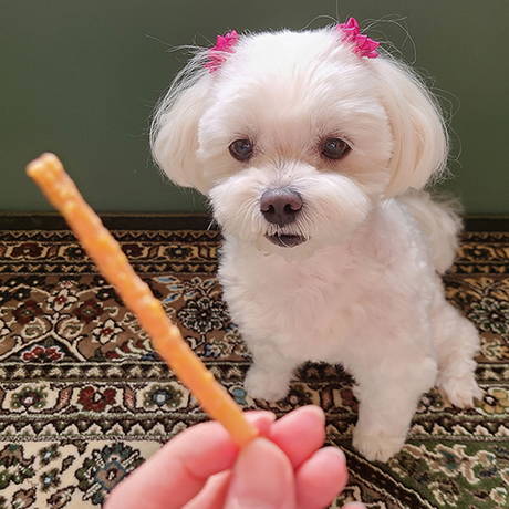 ペティオPetioプラクトPlact犬用おやつ歯みがきデンタルササミクランチスティック野菜入りは乳酸菌プラス