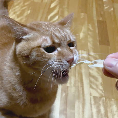 ペティオPetioプラクトPlact猫用おやつねこちゃんの健康ケア乾しカマかに味はおいしく食べて体のケア