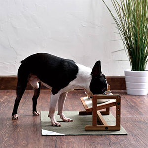 ペティオPetio犬用食事台Portaポルタウッディドッグテーブルはシニア犬にもぴったり