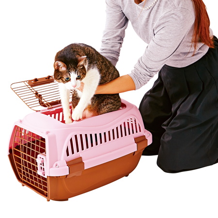 ペティオPetio犬用猫用2ドアスマイルキャリーピンクは上部からも開けられる