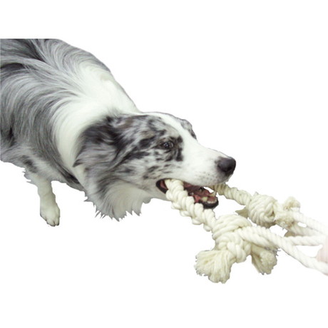 ペティオPetioアドメイトAddＭate犬用おもちゃナチュラルコットンロープ小型犬中型犬はくわえてひっぱるのに調度良い