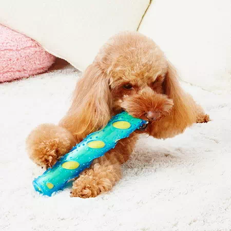 ペティオPetio犬用おもちゃペティオヘルスプログラムシャカシャカスティック超小型犬から小型犬用は運動不足なペットの興味を誘う玩具シリーズ