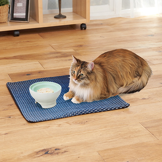 ペティオPetio猫用食器necocoネココ脚付き陶器食器ウェットフード向きは中央に集まりやすい