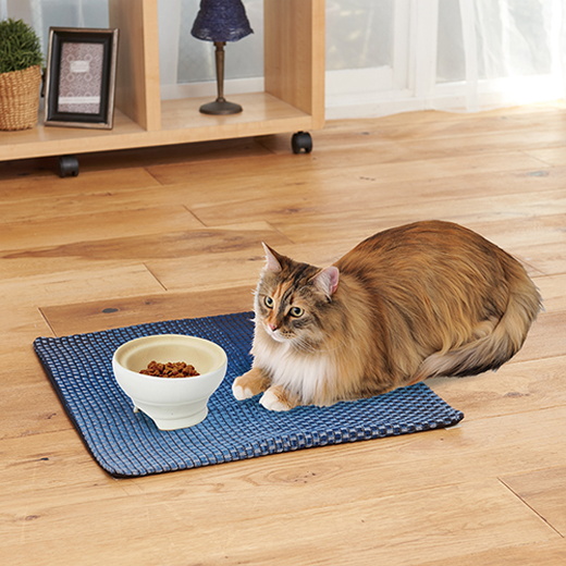 ペティオPetio猫用食器necocoネココ脚付き陶器食器ドライフード向きは中央に集まりやすい