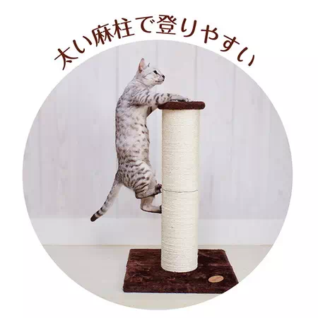 猫のおあそびポールクライミングは太い麻柱で登りやすい