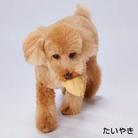 ペティオPetio犬用おもちゃ犬雅和菓子ラテックスぬいぐるみたいやきはラテックス玩具