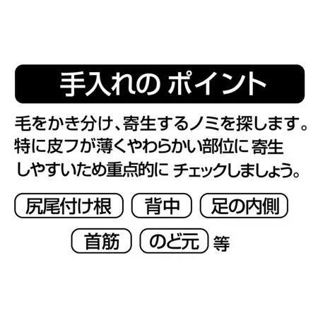 ペティオポルタのみ取りと部分コームを使った手入れのポイント