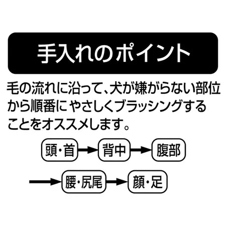 ペティオポルタツヤときほぐしブラシを使った手入れのポイント