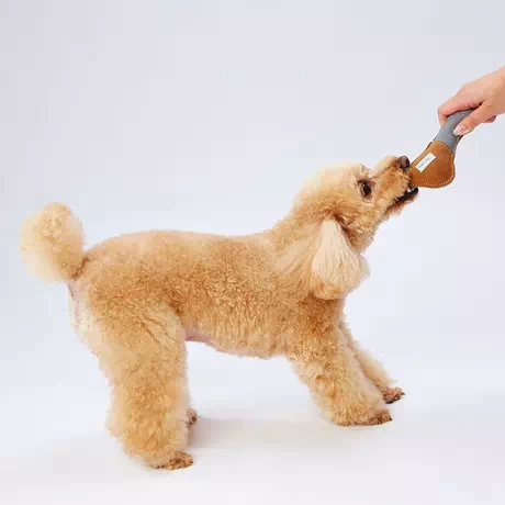 ペティオPetioアドメイト犬用おもちゃキャンバスTOY牛皮牛革製レザーブーメラン笛入りは革の匂い