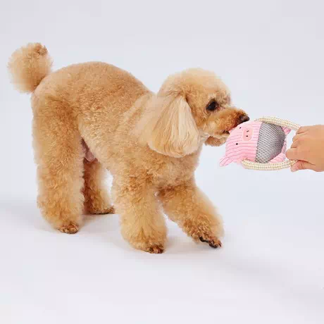 ペティオPetioアドメイト犬用噛むおもちゃ歯磨きふわふわデンタルロープぬいぐるみぶたは革の匂い