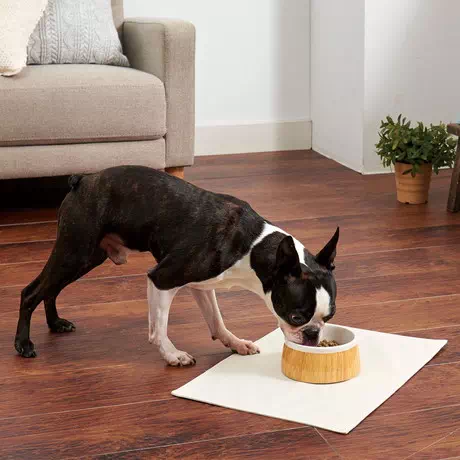 ペティオPetio安定した犬用食器Porta木目調陶器食器ペット用Ｍサイズは底面が広く安定