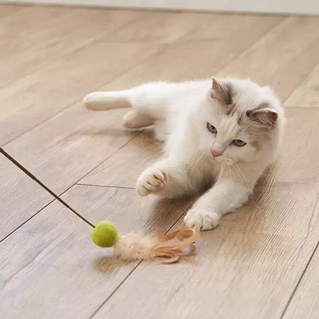 ペティオPetioアドメイト猫用おもちゃHａｐｐｉｎｅｓｓCａｔウールボール猫じゃらし鳥毛フェザースティックはゆらゆらフェザーにネコちゃん大興奮