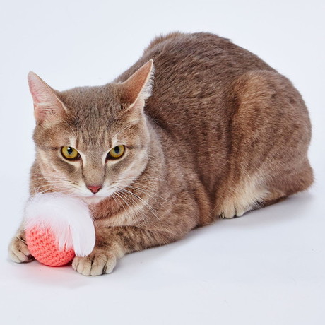 ペティオPetioAddMateアドメイト猫用おもちゃHappinessCatハピネスキャット鳥毛羽根付き手編みボールピンクはフェザー付き