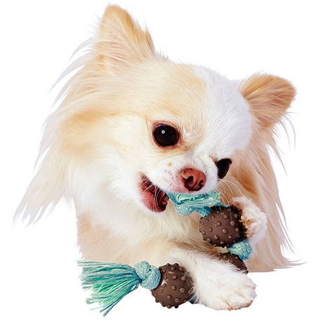 ペティオPetio小型犬用おもちゃEthicalDoorエシカルドアナチュラルアーストイボール＆ロープはペットと地球にやさしく