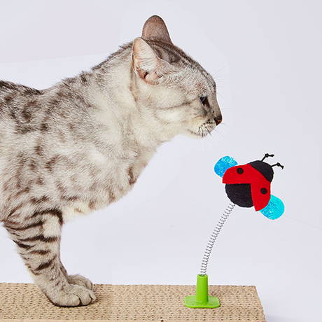 ペティオPetio猫用おもちゃつめみがきdeじゃらしゆらゆらムシ虫は厚さ25mm以上のつめみがきに対応