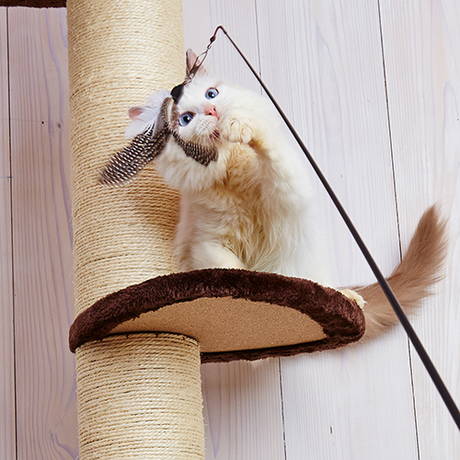 ペティオPetio猫用おもちゃ釣り好きにゃんぺい専用付け替えパーツトビウオフェザー猫じゃらし釣竿ロッド鳥毛は風切り音で興味を誘う