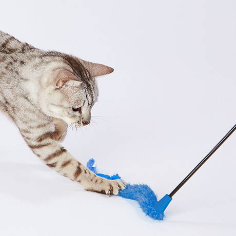 ペティオPetio猫用おもちゃ大好きブルー青の猫じゃらしテール＆フェザー鳥毛はネコちゃんの生態に基づく