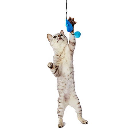 ペティオPetio猫用おもちゃ大好きブルー青の猫じゃらしぬいぐるみマウス＆ボールはネコちゃんの生態に基づく
