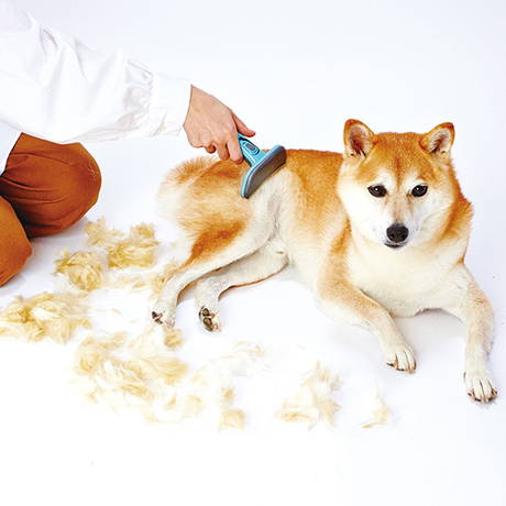 ペティオPetio犬用猫用ブラシSelfTrimmerセルフトリマースライドロック式抜け毛が取れるブラシワイドは毛玉やもつれを防ぐ