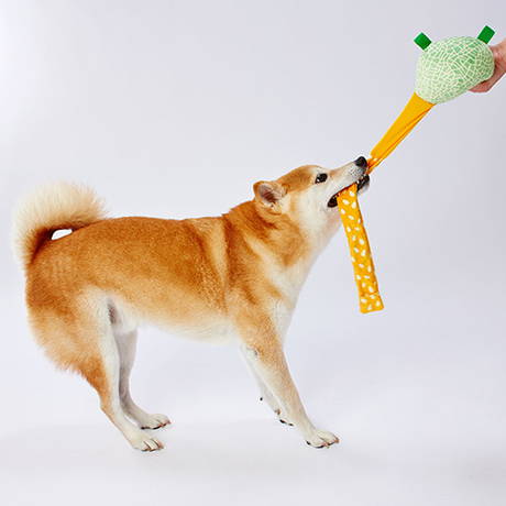 ペティオPetio中型犬小型犬用おもちゃ引っ張りっこ遊びできるぬいぐるみびよ～んフルーツメロンはワンちゃんの生態に基づいたおもちゃ