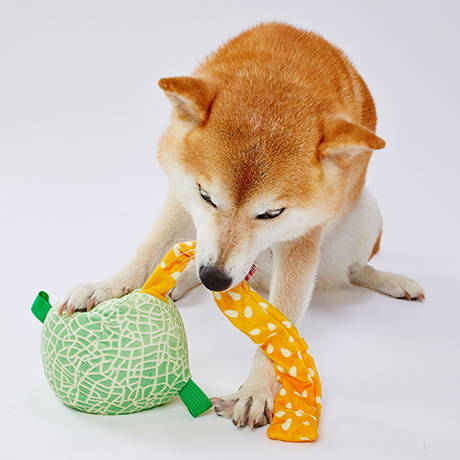 ペティオPetio中型犬小型犬用おもちゃ引っ張りっこ遊びできるぬいぐるみびよ～んフルーツメロンはフードポケット付