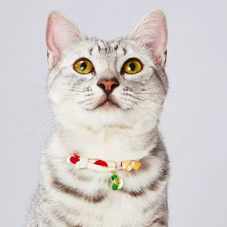 アドメイトにゃんごころトンボ玉猫用首輪の使用例