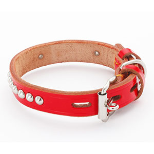 ペティオPetio犬用首輪手縫平首輪中一赤レッドは小型犬中型犬大型犬用