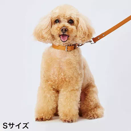 ペティオPetio犬用首輪Portaポルタ合皮革製ソフトレザーカラーＳ15ｍｍキャメル小型犬はピンバックルタイプ