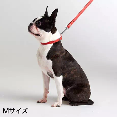 ペティオPetio犬用首輪Portaポルタ合皮革製ソフトレザーカラーＭ18ｍｍレッド中型犬はピンバックルタイプ