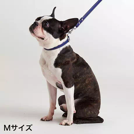 ペティオPetio犬用首輪Portaポルタ合皮革製ソフトレザーカラーＭ18ｍｍネイビー中型犬はピンバックルタイプ