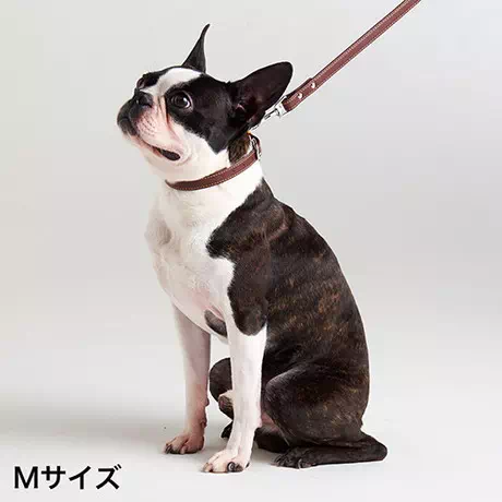 ペティオPetio犬用首輪Portaポルタ合皮革製ソフトレザーカラーＭ18ｍｍブラウン中型犬はピンバックルタイプ