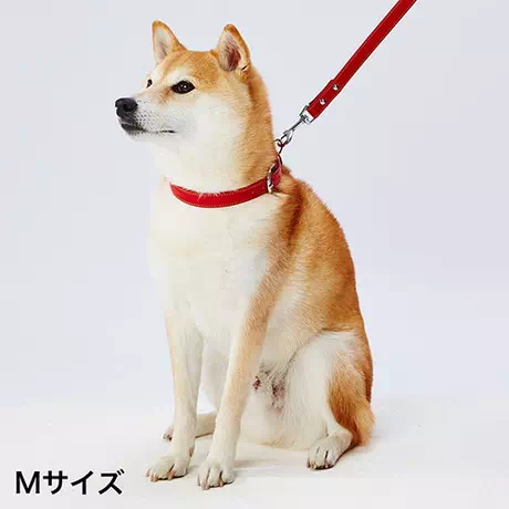 ペティオPetio犬用首輪Portaポルタ合皮革製ソフトレザーカラーＭ21ｍｍレッド中型犬はピンバックルタイプ