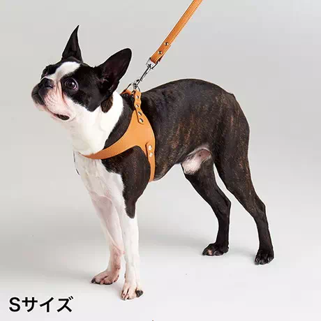 ペティオPetio犬用リードロープPortaポルタソフトレザーベストハーネス合皮革製Ｓキャメル小型犬茶黄色は柔らかい合皮を使用