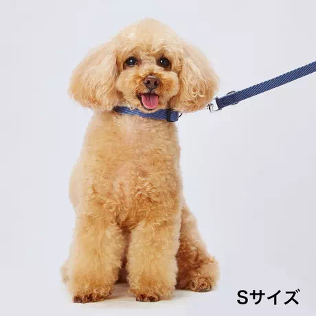 ペティオPetioアドメイト犬用首輪ソフトスキップカラー超小型犬中型犬大型犬ブルー青色はワンタッチ装着のバックル