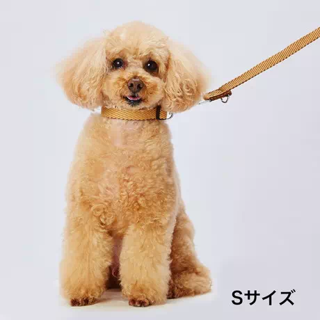 ペティオPetioアドメイト犬用首輪ソフトスキップカラー超小型犬中型犬大型犬ベージュ茶色はワンタッチ装着のバックル