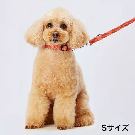 ペティオPetioアドメイト犬用散歩用引き紐ソフトスキップリード超小型犬中型犬大型犬レッド赤色は柔らかい合皮を使用