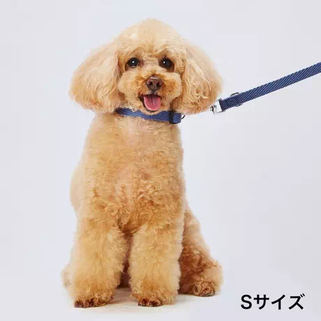 ペティオPetioアドメイト犬用散歩用引き紐ソフトスキップリード超小型犬中型犬大型犬ブルー青色は柔らかい合皮を使用