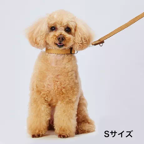 ペティオPetioアドメイト犬用散歩用引き紐ソフトスキップリード超小型犬中型犬大型犬ベージュ茶色は柔らかい合皮を使用