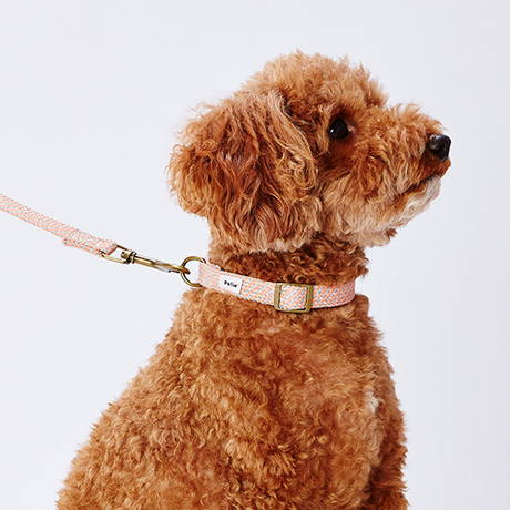 ペティオPetio小型犬用首輪フラッシュソフトカラーピンクは抗菌犬具