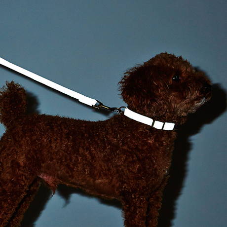 ペティオPetio小型犬用首輪フラッシュソフトカラーピンクは両面反射テープを使用