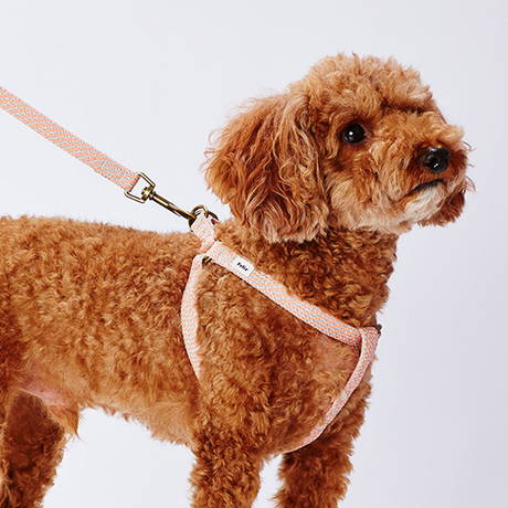 ペティオPetio小型犬用胴輪フラッシュソフトハーネスピンクは抗菌犬具