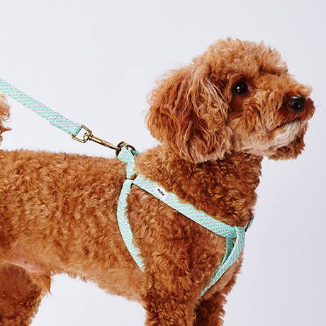 ペティオPetio超小型犬用胴輪フラッシュソフトハーネス青ブルーは抗菌犬具