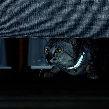 ペティオPetio猫用首輪フラッシュソフトキャットカラー夜光る両面反射やわらかテープイエロー黄色は鈴付