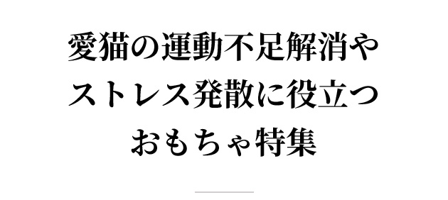 愛猫の運動不足解消やストレス発散に役立つおもちゃ特集