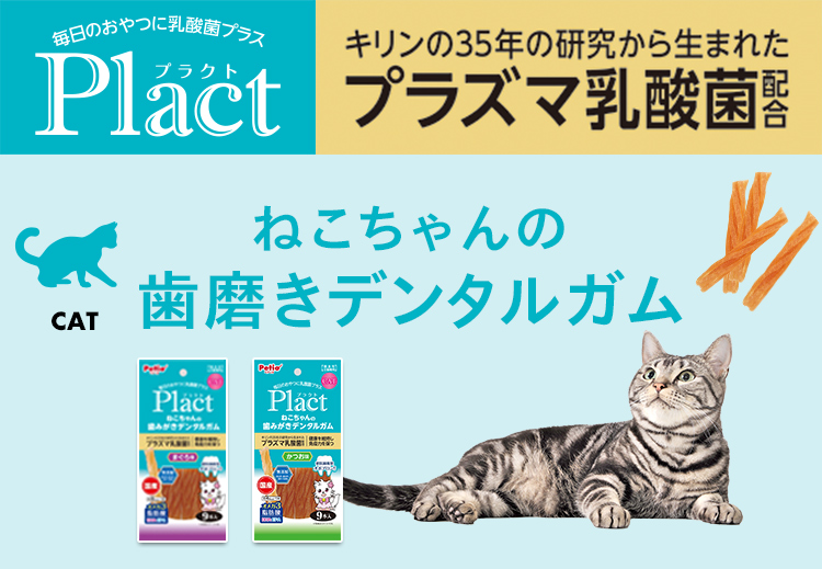 Plactプラクト キリンの35年の研究から生まれたプラズマ乳酸菌配合 